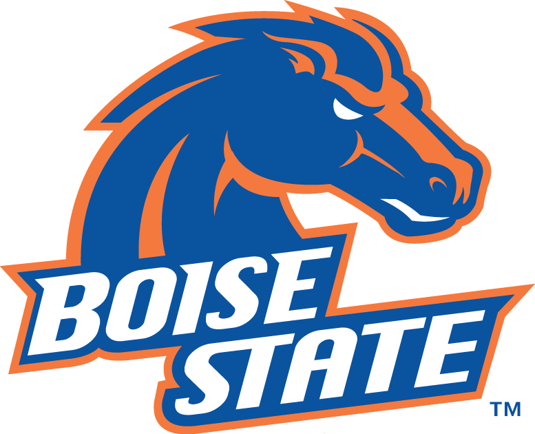 Boise State Broncos 2002-2012 Primary Logo t shirts DIY iron ons